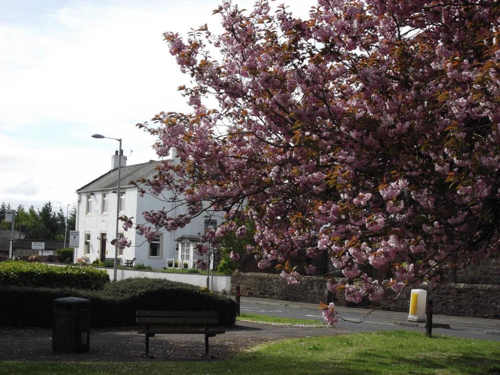 Kirkcroft Guest House Gretna Dış mekan fotoğraf